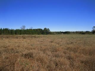 3053 Green Pond Hwy, Walterboro SC  29488-7508 exterior