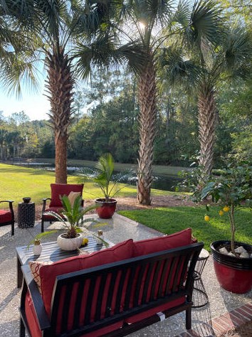 137 Palm Cove Way, Mount Pleasant SC  29466-8160 exterior