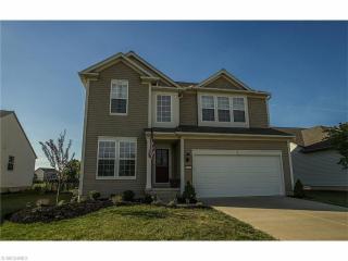 3546 Hastings Dr, Medina, OH 44256-6208