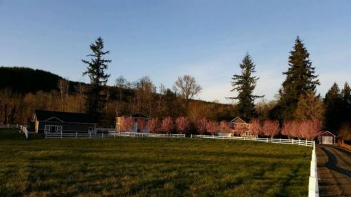 63 Downey Ln, Cedarville, WA 98568-9637