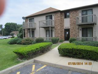 423 Clarinet Blvd, Elkhart IN  46516-4764 exterior
