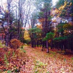 2640 State Highway 206, Smithville NY  13778-2379 exterior