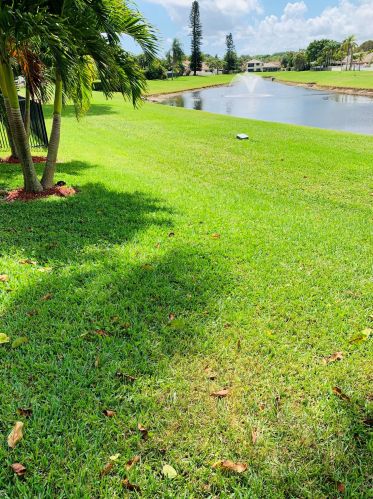 400 28th Ave, Delray Beach FL  33445-4408 exterior