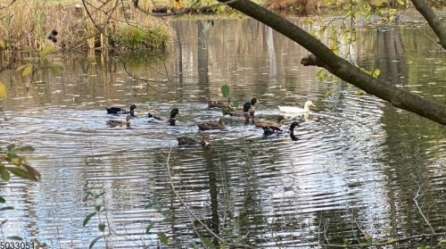 3 3rd St, Roxbury Township NJ  07836-1615 exterior