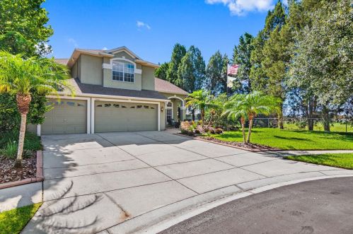 3202 Coconut Grove Rd, Land O Lakes FL  34639-6735 exterior