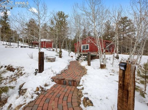 875 Obsidian Dr, Twin Rock, CO 80816-8809