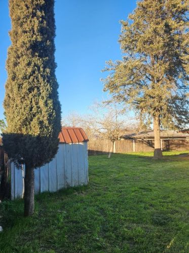 113 Kiwi St, Los Banos CA  93635-3127 exterior