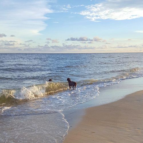 1804 Gulf Bch Dr, Saint George Island FL  32328-2827 exterior