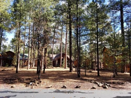 4745 Deep Frst Dr, Pinetop AZ  85935-8866 exterior