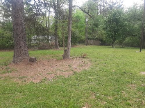 306 Front St, Kennard, TX 75847-2403