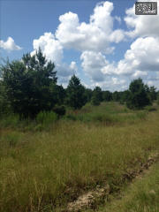 3164 Neely Wingard Rd, Batesburg-Leesville SC  29070-8678 exterior