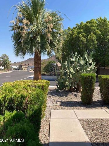 19809 45th Ave, Glendale, AZ 85308-7387
