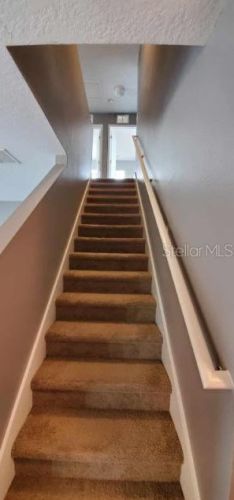 19340 Timberbluff Dr, Land O Lakes FL  34638-2585 exterior