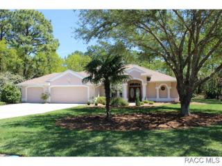 2 Bells Of Ireland Ct, Homosassa, FL 34446-5816