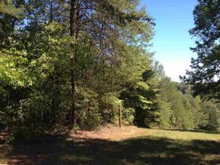 360 Fall Rd, Chesnee, SC 29323-9298
