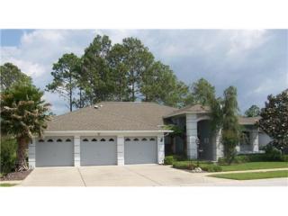 18146 Nestlebranch Ct, Port Richey, FL 34667-5575