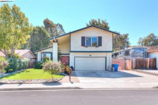 73 Greensboro Way, Antioch, CA 94509-6042