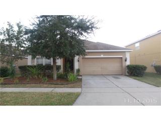 10109 Celtic Ash Dr, Ruskin, FL 33573-6732