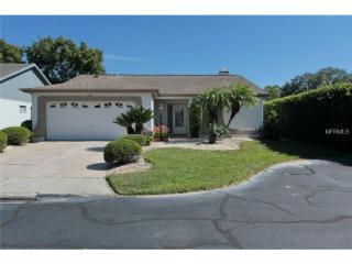 13108 Dobree Pl, Riverview, FL 33579-7110