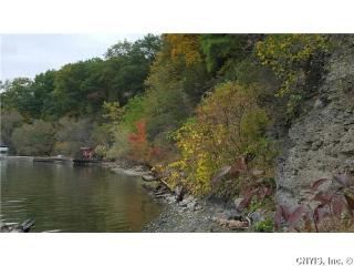 461 Fire Lane 33, Moravia, NY 13118-9402