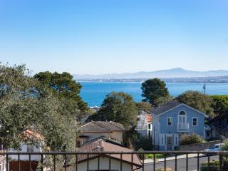 822 Oak St, Monterey CA  93940-1213 exterior
