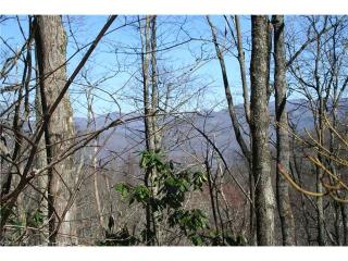 15 Mountain Mint Dr, Swannanoa NC  28778 exterior