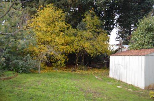 7230 Trenton Pl, Gilroy, CA 95020-6013