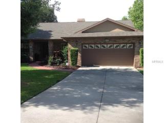 113 Greentree Ln, Howey In The Hills, FL 34797-3100