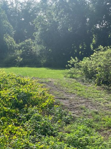 3500 Boggy Crk Rd, Kissimmee FL 34744-9413 exterior