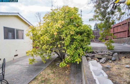 2699 Shamrock Dr, Richmond CA  94806-1555 exterior