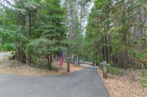 16199 Pioneer Creek Rd, Pioneer CA  95666-9415 exterior