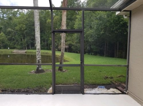 3664 Darston St, Palm Harbor FL  34685-1182 exterior