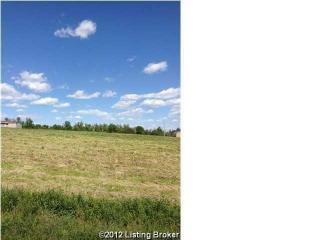 4 Red Hawk Dr, Guston, KY 40142-7143