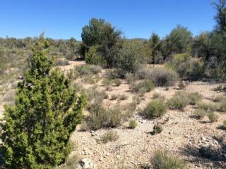 6625 Falcon View Dr, Mcguireville, AZ 86335-6034