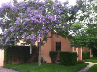 3077 Vancouver Ave, San Diego CA  92104-4832 exterior