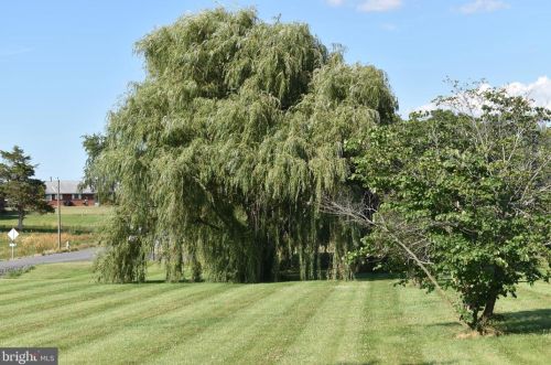 1654 Readus Rd, Edinburg VA  22824-2935 exterior