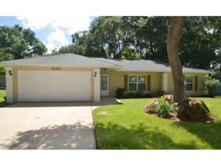 3224 Mango Tree Dr, Edgewater, FL 32141-6707