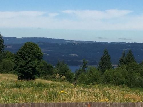 170 Saturn Ave, Woodland, WA 98674-5800