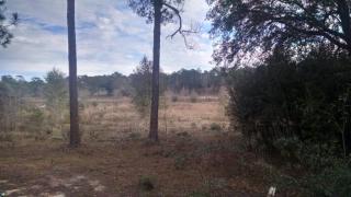 2552 Radcliff Cir, Sunny Hills, FL 32428-3600