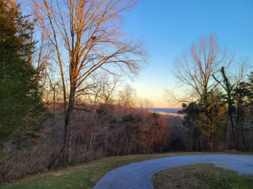 291 Haw Tree Rd, Felicity, OH 45120-9715