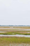 362 Sweetgrass Creek Rd, Charleston, SC 29412-9129