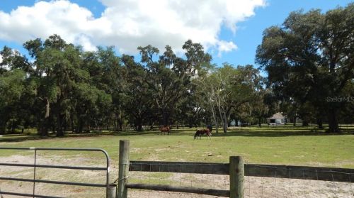 17639 Palamino Lk Dr, Dade City FL 33523-1949 exterior