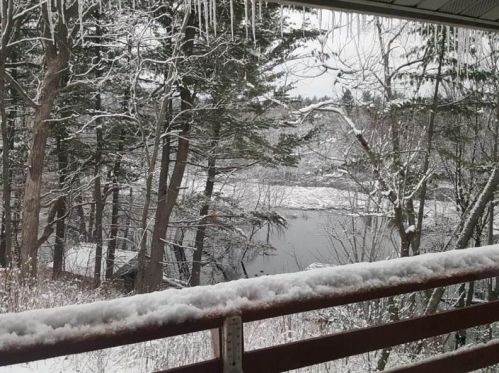 8138 Lake Thomas Rd, Amherst, WI 54406-9011