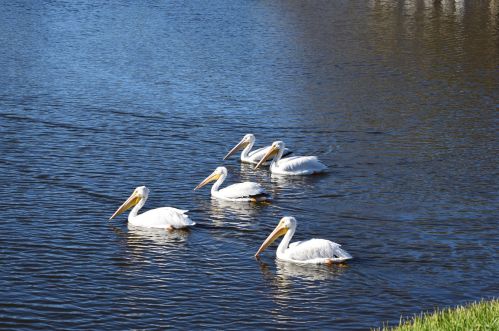 1271 Continental Ave, Melbourne FL 32940-6701 exterior