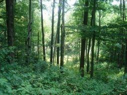 14779 County Highway 17, Roscoe, NY 12776-2900