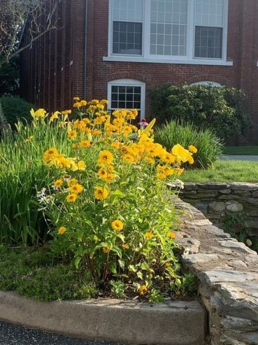 40 Web Ave, North Kingstown RI  02852-6822 exterior