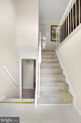 6112 Winter Park Dr, Springfield, VA 22015-3838