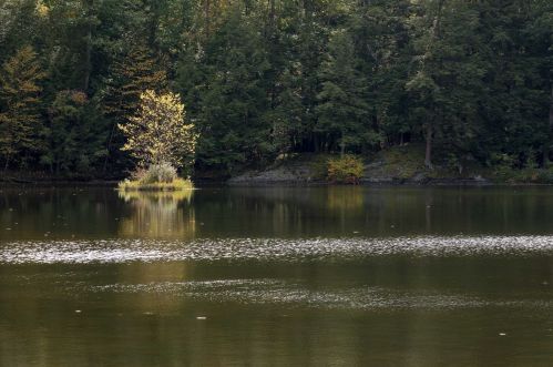 209 Amenia Rd, Wassaic NY  12592-2212 exterior