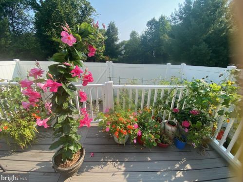 108 Violet Ln, Trenton NJ  08638-2031 exterior