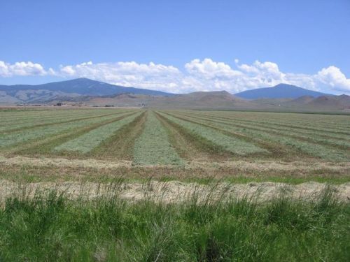 5821 Airport Rd, Montague, CA 96064-9596